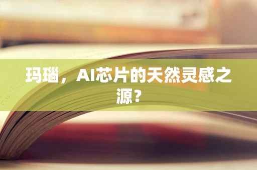 玛瑙，AI芯片的天然灵感之源？