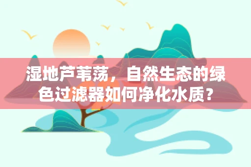 湿地芦苇荡，自然生态的绿色过滤器如何净化水质？