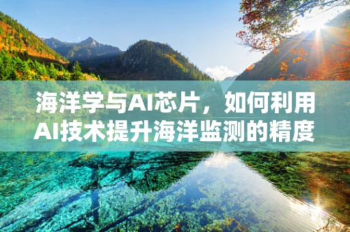 海洋学与AI芯片，如何利用AI技术提升海洋监测的精度与效率？