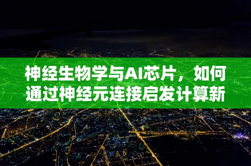 神经生物学与AI芯片，如何通过神经元连接启发计算新范式？