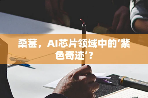 桑葚，AI芯片领域中的‘紫色奇迹’？