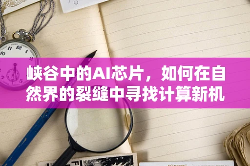 峡谷中的AI芯片，如何在自然界的裂缝中寻找计算新机遇？