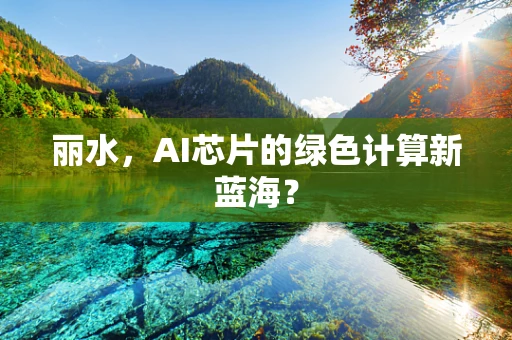 丽水，AI芯片的绿色计算新蓝海？