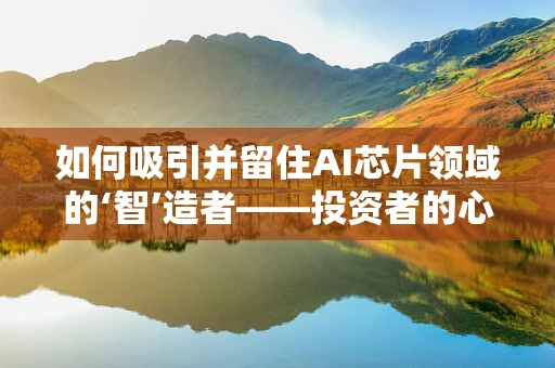 如何吸引并留住AI芯片领域的‘智’造者——投资者的心？