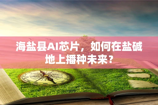 海盐县AI芯片，如何在盐碱地上播种未来？