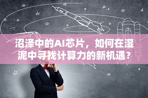 沼泽中的AI芯片，如何在湿泥中寻找计算力的新机遇？