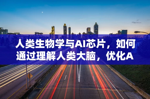 人类生物学与AI芯片，如何通过理解人类大脑，优化AI学习与决策？