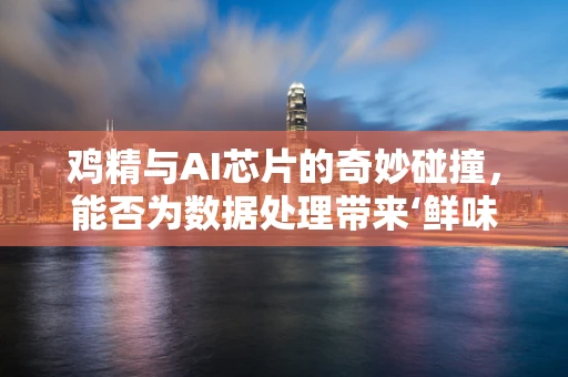 鸡精与AI芯片的奇妙碰撞，能否为数据处理带来‘鲜味’？