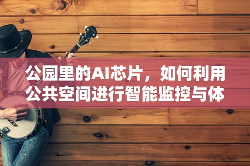 公园里的AI芯片，如何利用公共空间进行智能监控与体验优化？