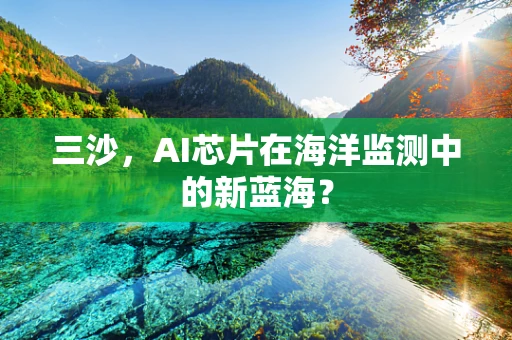 三沙，AI芯片在海洋监测中的新蓝海？
