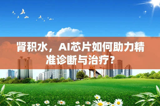 肾积水，AI芯片如何助力精准诊断与治疗？