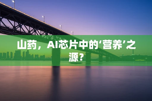 山药，AI芯片中的‘营养’之源？