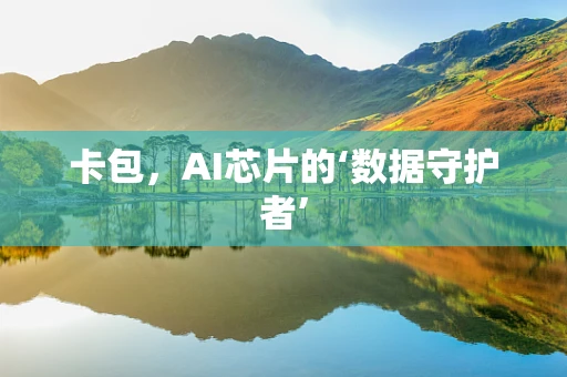 卡包，AI芯片的‘数据守护者’