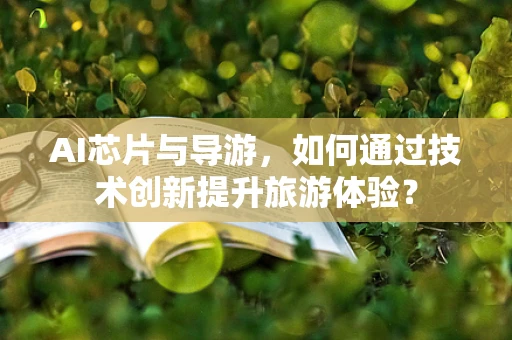 AI芯片与导游，如何通过技术创新提升旅游体验？