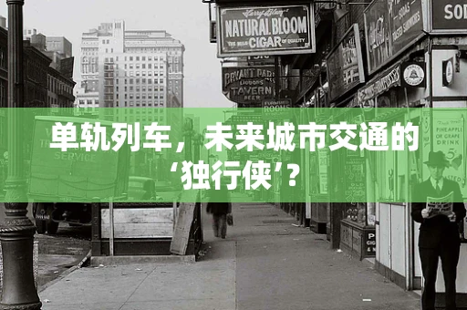单轨列车，未来城市交通的‘独行侠’？