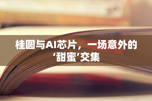 桂圆与AI芯片，一场意外的‘甜蜜’交集