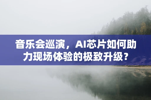 音乐会巡演，AI芯片如何助力现场体验的极致升级？
