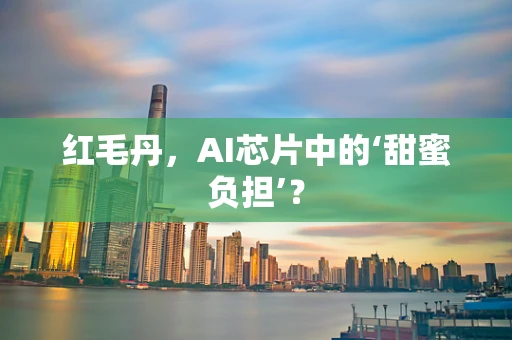 红毛丹，AI芯片中的‘甜蜜负担’？