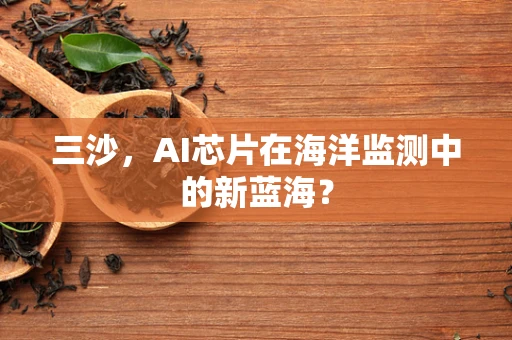 三沙，AI芯片在海洋监测中的新蓝海？