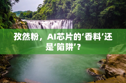 孜然粉，AI芯片的‘香料’还是‘陷阱’？