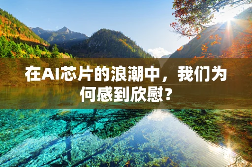 在AI芯片的浪潮中，我们为何感到欣慰？