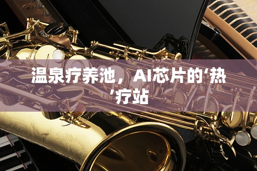 温泉疗养池，AI芯片的‘热’疗站