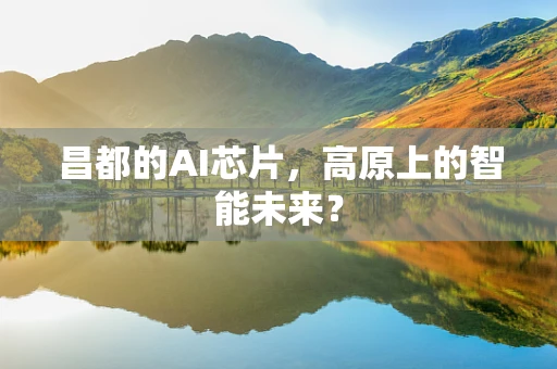 昌都的AI芯片，高原上的智能未来？