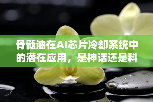 骨髓油在AI芯片冷却系统中的潜在应用，是神话还是科学？
