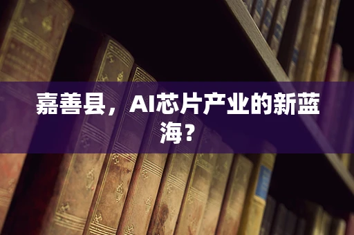 嘉善县，AI芯片产业的新蓝海？