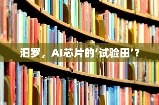 汨罗，AI芯片的‘试验田’？