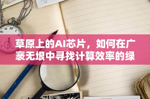 草原上的AI芯片，如何在广袤无垠中寻找计算效率的绿洲？