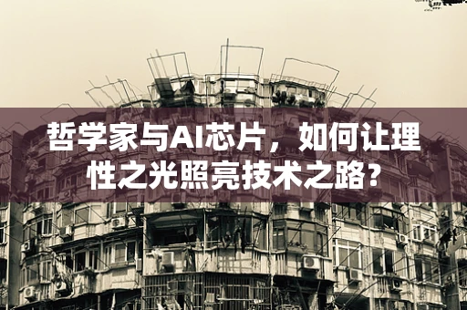 哲学家与AI芯片，如何让理性之光照亮技术之路？