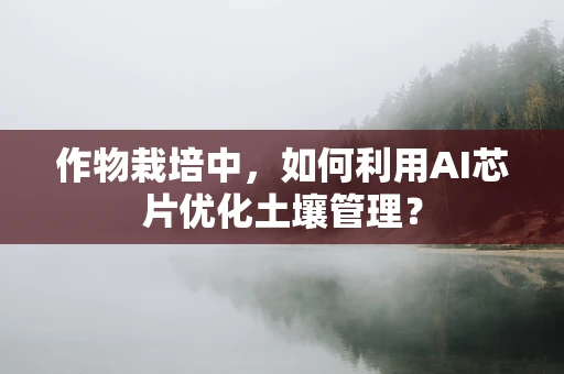 作物栽培中，如何利用AI芯片优化土壤管理？